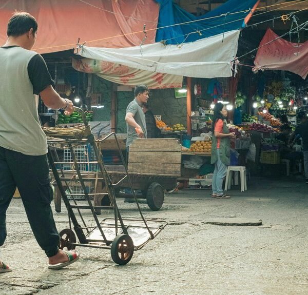 market trends in stellar