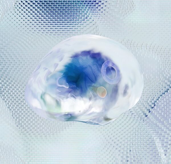 neural beam orbit apex