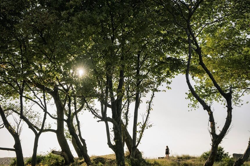 public lookup safety update