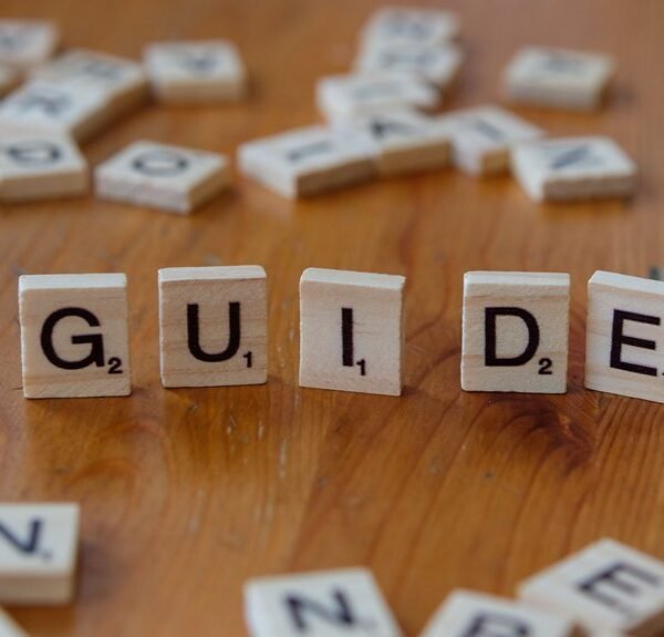 complete guide to 2092641399